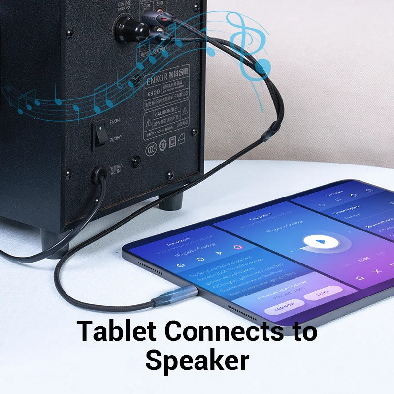 USB C to RCA Audio Cable for Speaker Amplifier